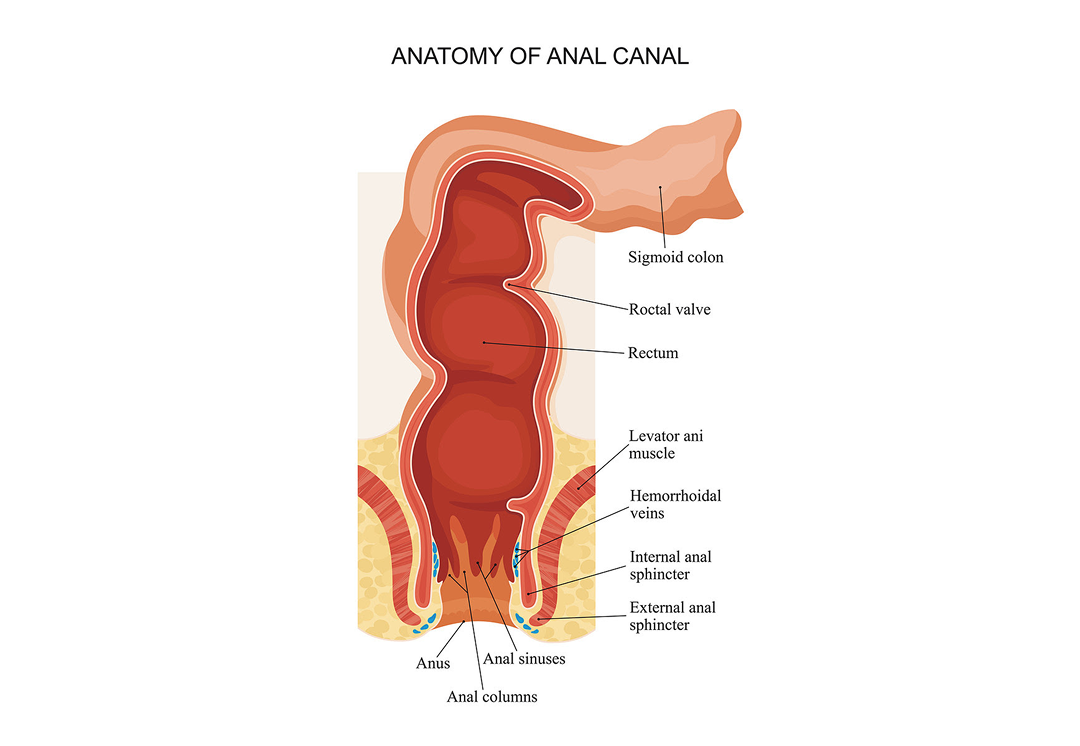 Colon Cancer | The Center For Cancer & Blood Disorders